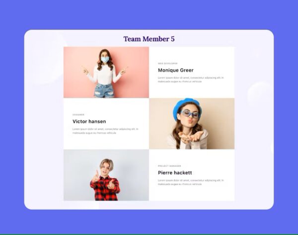 Elementor Team Member - Image 5