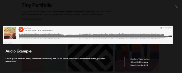 Tiny Portfolio Widget For Elementor - Image 3