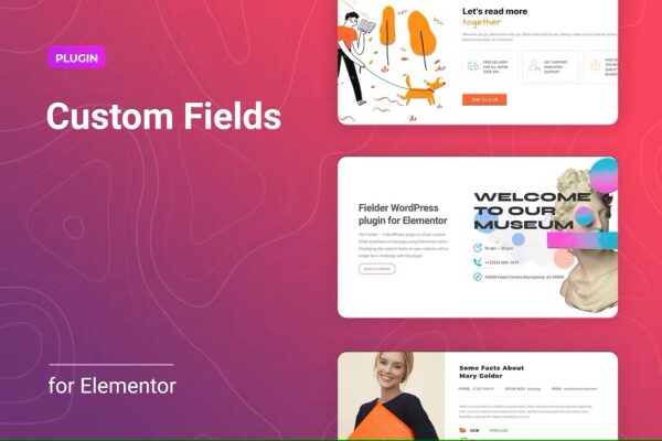 WordPress Custom Fields for Elementor - Image 2